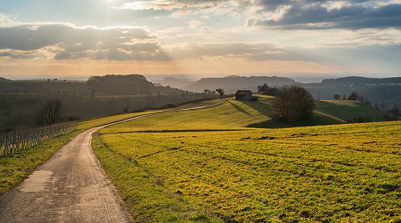 符腾堡贝伊勒斯坦（英语：Beilstein, Württemberg）附近一处受保护区域的冬季景色，包括该处标志性的小型田野、葡萄园及果树等。