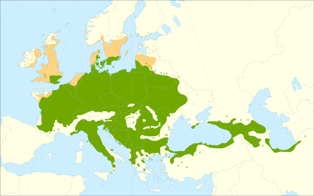 Description de l'image Carpinus betulus range.svg.