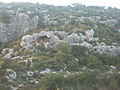 Cava del Rivettazzo, view of the necropolis.