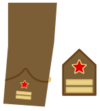 Teniente Coronel