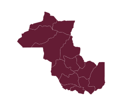 Elecciones provinciales de Jujuy de 1924