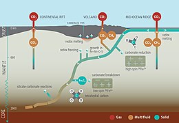 Forms of carbon in deep Earth