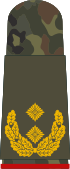 HA OS5 62 Generalmajor.svg