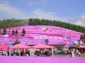 芝桜公園で開催されるひがしもこと芝桜まつり