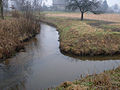 Erster Zufluss der Ems: Der Schwarzwasserbach