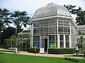 Palmenhaus