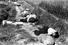 Civilians killed during a night battle near Yongsan, August 1950 Korean civilians fleeing from the North Korean forces, killed when caught in the line of fire during night attack by guerrilla forces near Yongsan HD-SN-99-03166.jpg