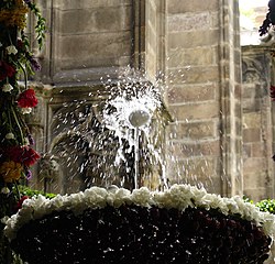 L'ou com balla a la catedral.