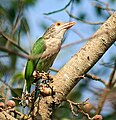 16:02, 9 February 2018ৰ সংস্কৰণৰ ক্ষুদ্ৰ প্ৰতিকৃতি