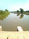 Vista d'un canal al baix Bari Doab dels Punjab Doabs