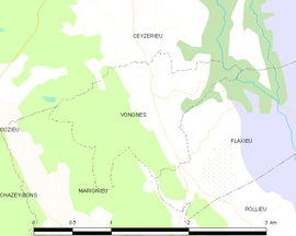 Mapa obce Vongnes