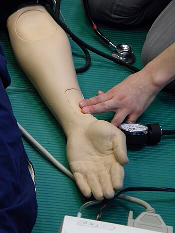 English: Measurement of radial pulse of a doll...