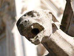 Gárgola de la catedral.