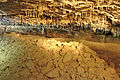 Brčka (malé stalaktity) v Nové Amatérské jeskyni