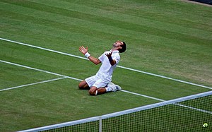 English: Novak Djokovic celebrates his 2011 Wi...