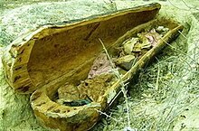 urna funeraria a base del árbol Patüa