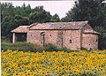 Església de Sant Marçal (Puig-reig)