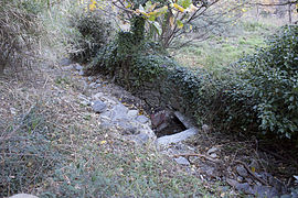 Canal en pierre, sec, de section rectangulaire, envahi de végétation.