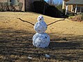 Texas-Spring-Snowman