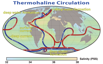 Termohalinska cirkulacija