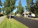 A peaceful road on outskirts of Kuokkala