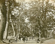 Vue de la Tōkaidō, Photo de Felice Beato 1865.