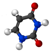 Uracil