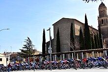 Peloton in stage 5