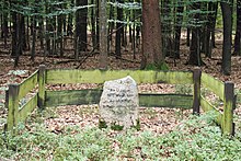 In der Bildmitte ein am unteren Rand mit Moos bewachsener hellgrauer Stein, auf dem steht: „Am 13. Januar 1872 wurde hier der letzte Wolf in Niedersachsen erlegt. A. D. J. V.“; dahinter Wald