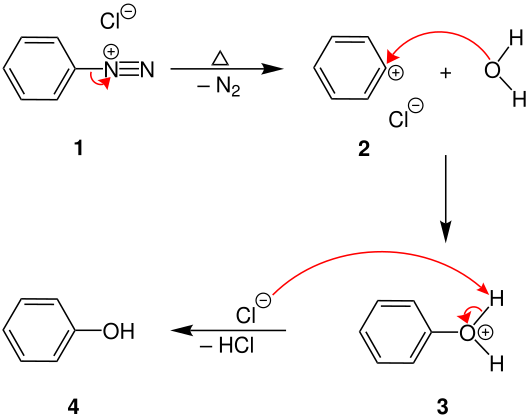 Mechanismus der Phenolverkochung
