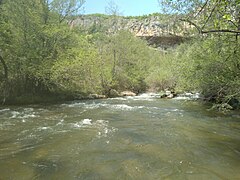 Глетка од водите на Кадина Река кон Кадина Пештера