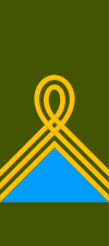 11 УНР 24-04-1919 Полковник.svg