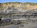 Crozon : falaise de la côte nord-est de l'île de l'Aber (vue de l'estran à marée basse).