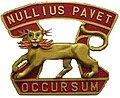 7th Air Defense Artillery Regiment "Nullius Pavet Occursum" (He Fears No Encounter)
