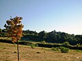 Parco Fiorani spazi aperti