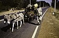 A donkeycart driver on a new tarmac road, Zambia/Zimbabwe.