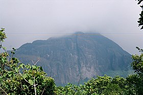 AgasthyarkoodamPeak.JPG