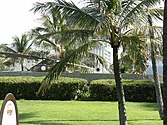 Front close up of Battery Randolph in Fort DeRussy in Honolulu, Hawaiʻi.