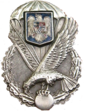 List Of Paratrooper Forces