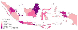 COVID-19 pandemic in Indonesia per capita cases map.svg