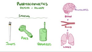 File:Cannabis dependence.webm