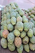 Gathered prickly pears