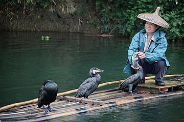 Guilin cormorant fisherman