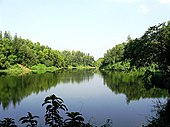 Ctg foys lake water 2003.jpg