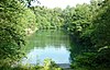 Dachsberger See (lago) apud Dachsberg