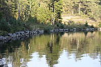 The dam from the lakeside.