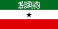 Bandiera del Somaliland