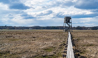 Fågeltornet.