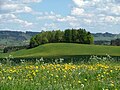 Der Kalvarienberg, im Hintergrund das Illertal