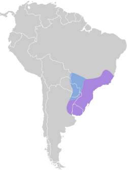 Distribución geográfica de la viudita picoceleste.